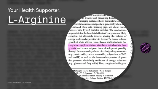 Your Health Supporter: L-Arginine