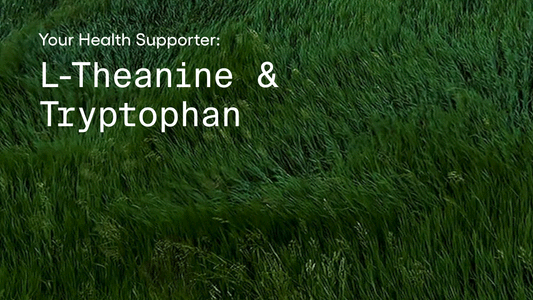 Your Health Supporter: L-Theanine & Tryptophan