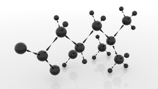 Your Health Supporter: L-Carnitine