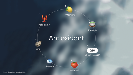 Antioxidant: for Slowing Aging