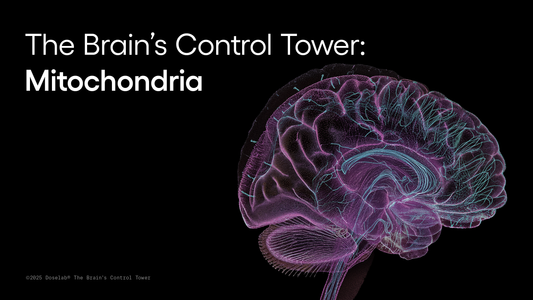 The Brain’s Control Tower: Mitochondria