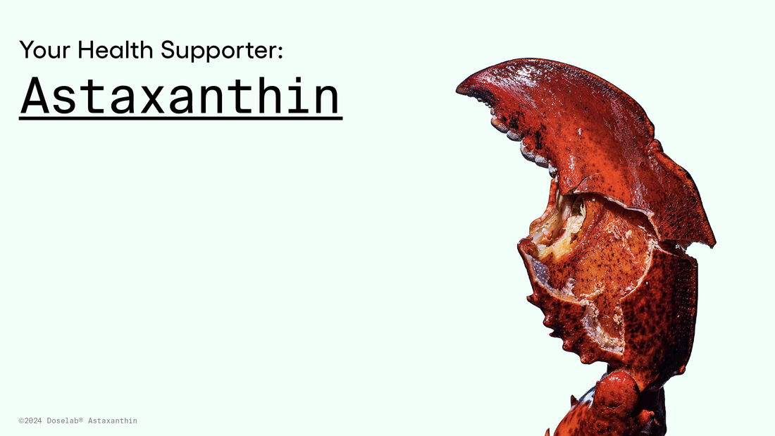 Your Health Supporter: Astaxanthin