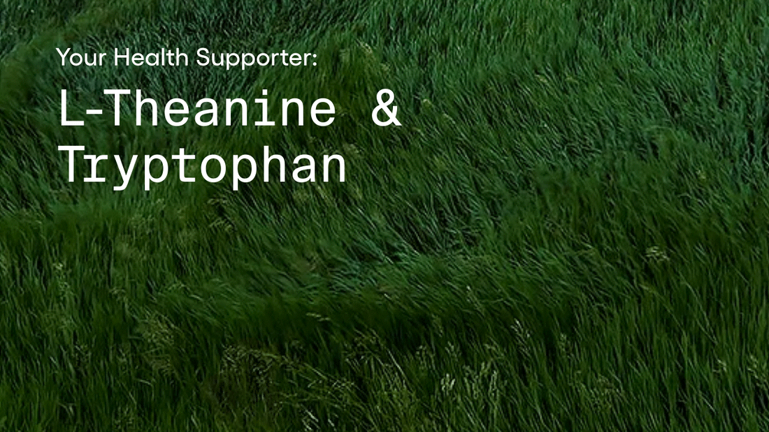 Your Health Supporter: L-Theanine & Tryptophan