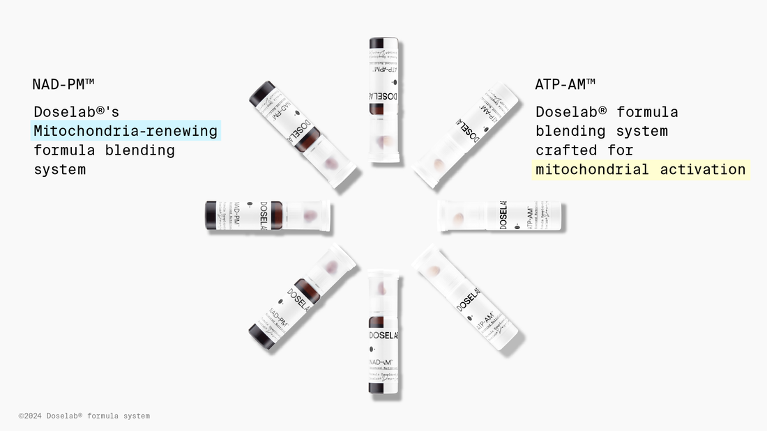Formula System: ATP-AM™ & NAD-PM™