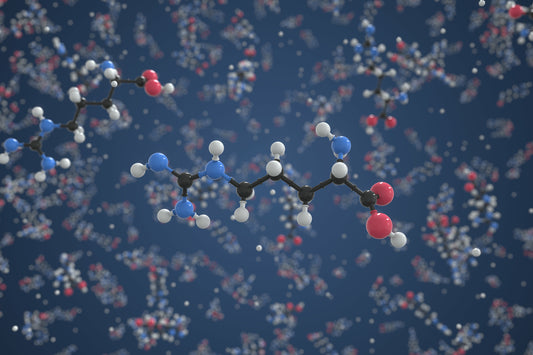 Your Health Supporter: L-Arginine