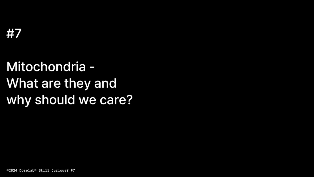 Still Curious? #7