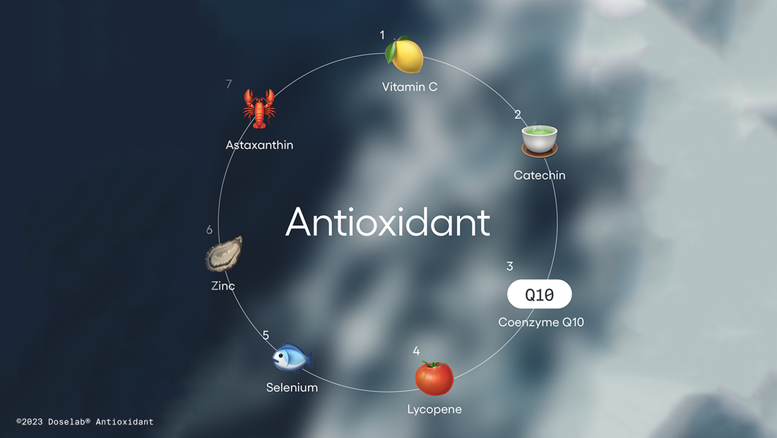 Antioxidant: for Slowing Aging